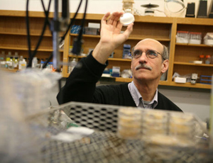 在线呼叫网页版