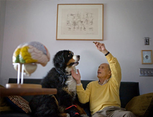 帮企业增收入的在线轰炸电话软件版