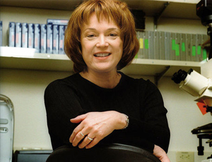 手机号轰在线轰炸免费下载