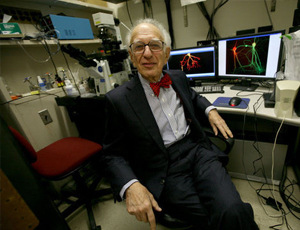 免费信息轰炸机